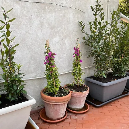 Campo De Fiori Palace Holiday home *