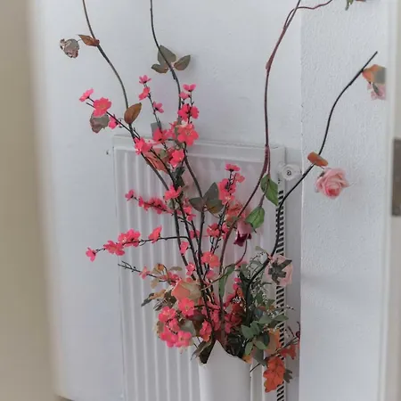 Campo De Fiori Palace